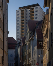 Serie: Konservation, Bildcomposing, 2020